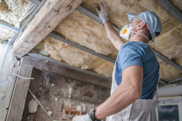 Insulation Contractors for Homes in Madison, MN