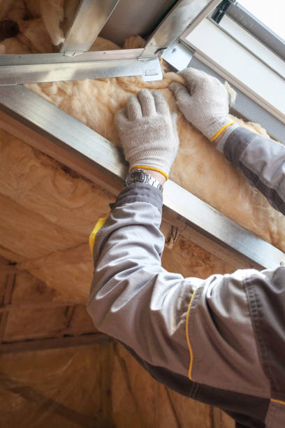 Best Wall Insulation Contractor  in Madison, MN